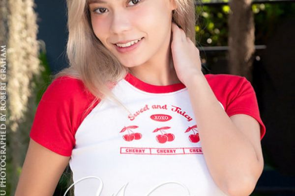 Naksu: Presenting Naksu by Robert Graham